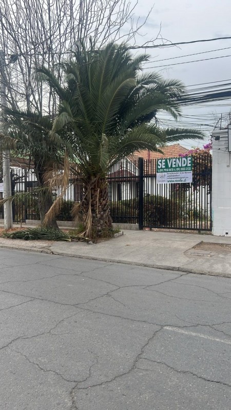 Fotografía de Se Arrienda Amplias Oficinas