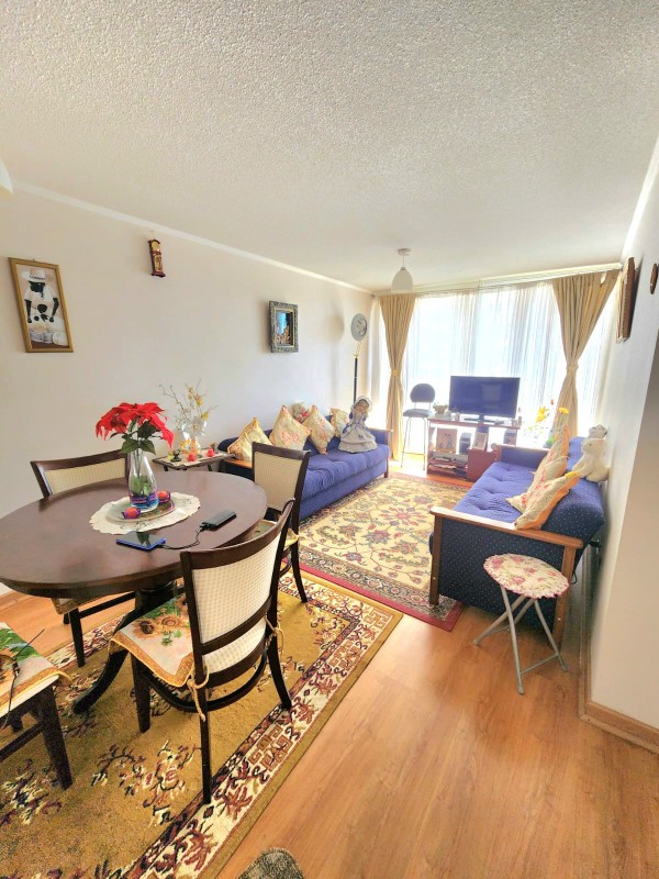 Arriendo Departamento Full Amoblado Con Vista Al Mar