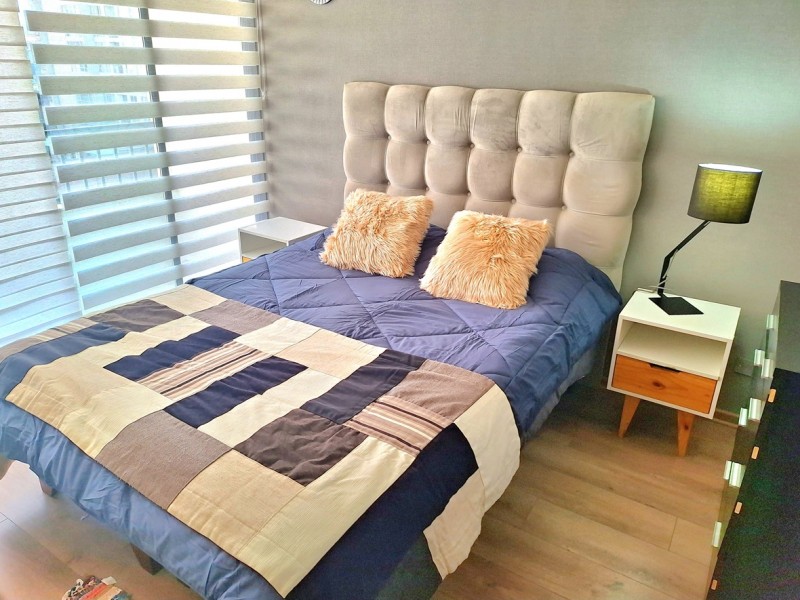 Fotografía de Arriendo Departamento Amoblado, Calle Carmen, Santa Lucia