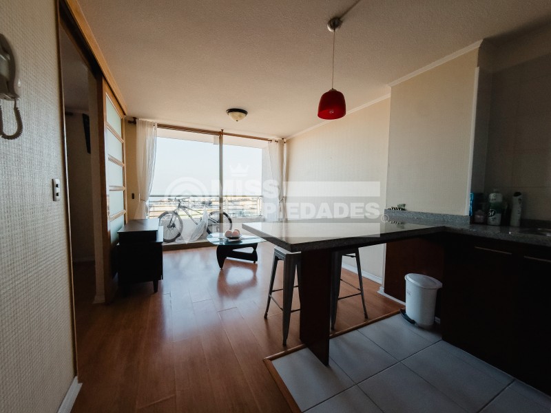 Se Arrienda Departamento en Edificio Icono