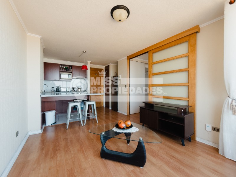 Se Arrienda Departamento en Edificio Icono