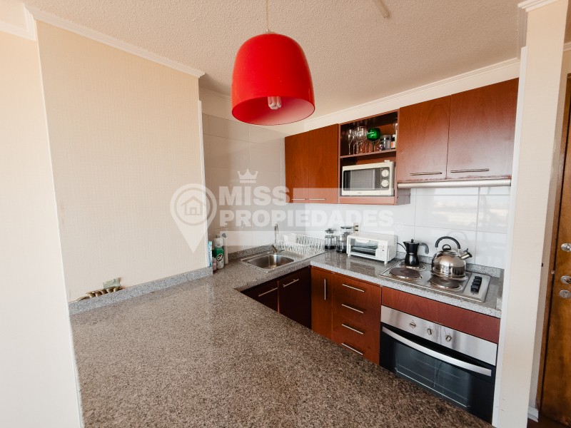 Se Arrienda Departamento en Edificio Icono