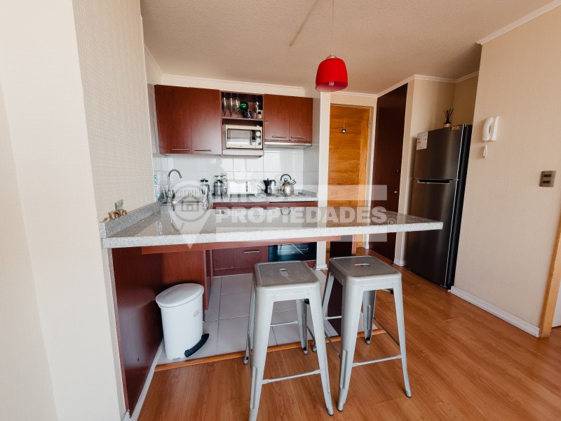 Se Arrienda Departamento en Edificio Icono