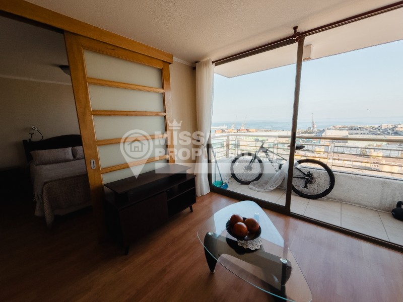 Se Arrienda Departamento en Edificio Icono