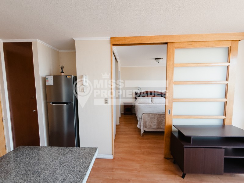 Se Arrienda Departamento en Edificio Icono