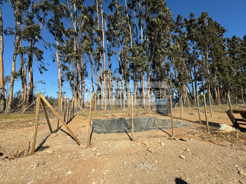 Se Vende Parcela | Hacienda Buena Esperanza | Vallenar