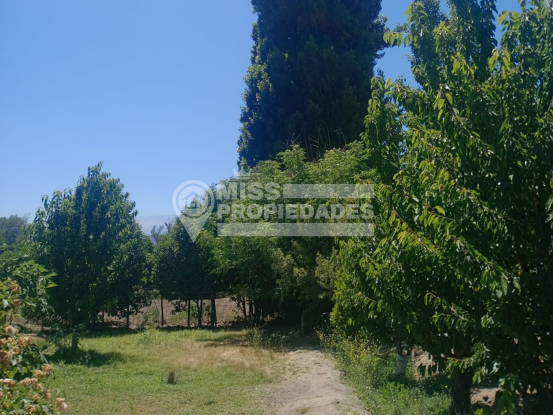 Se Vende Parcela Con Casa | Entorno Natural y Privado