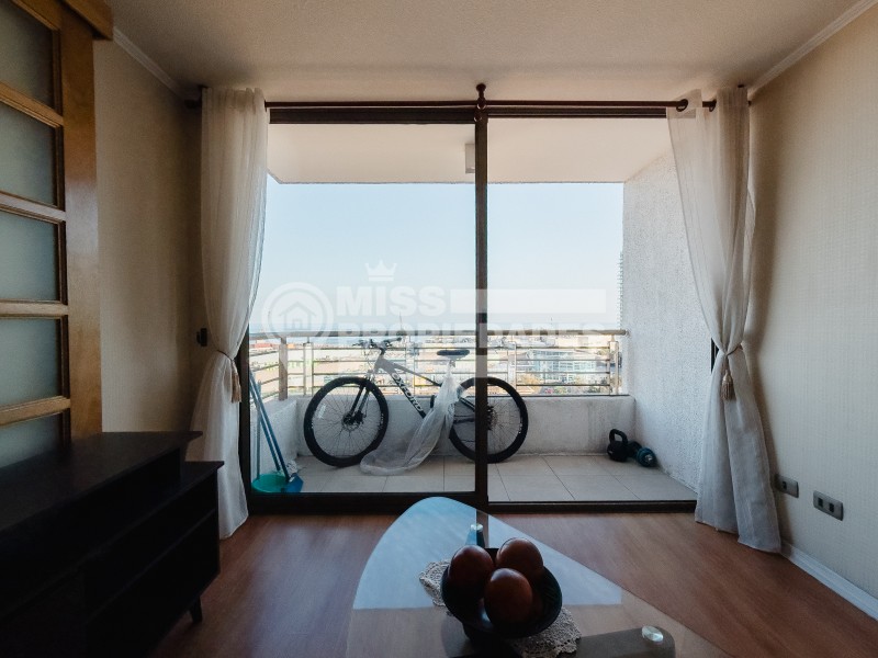 Se Arrienda Departamento en Edificio Icono