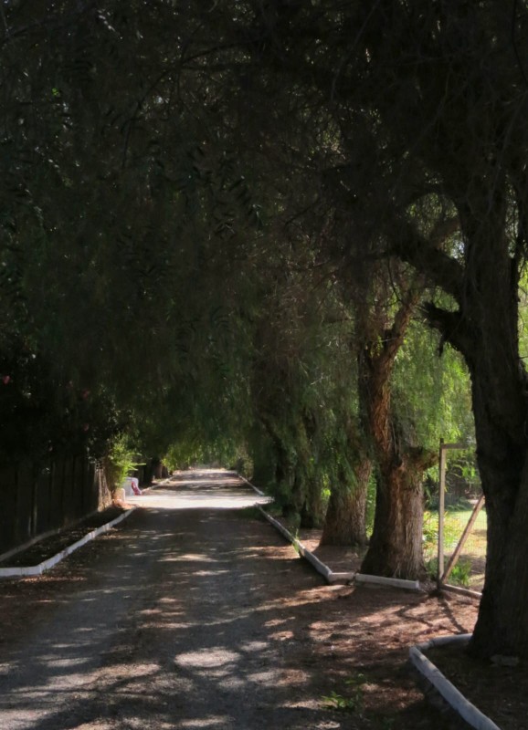Se Vende Parcela Con Casa | Entorno Natural y Privado