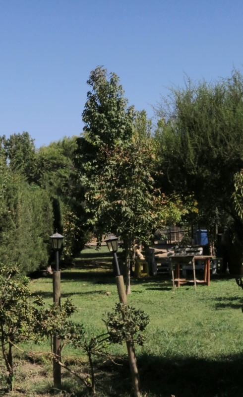 Se Vende Parcela Con Casa | Entorno Natural y Privado