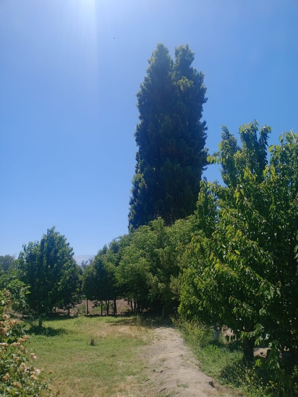 Se Vende Parcela Con Casa | Entorno Natural y Privado