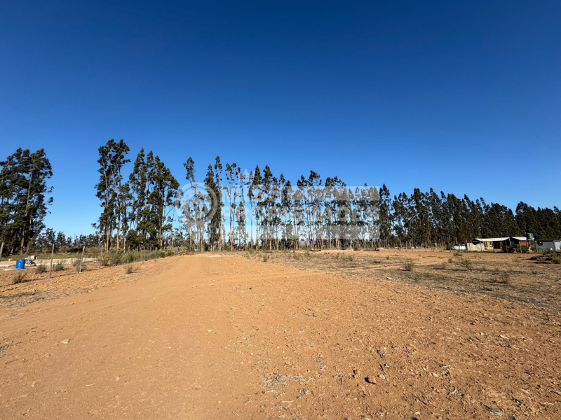 Se Vende Parcela | Hacienda Buena Esperanza | Vallenar