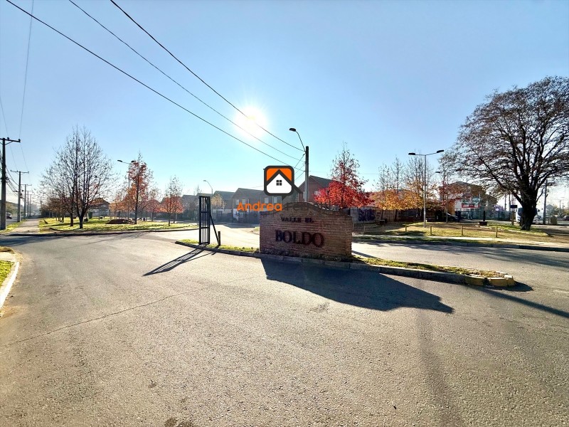 Arriendo en Valle el Boldo, Curico