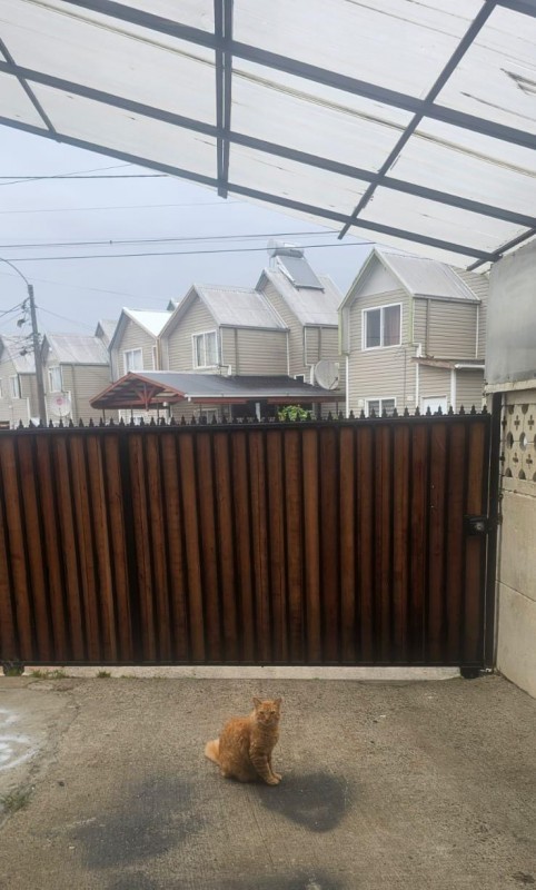 Confortable Casa A Pasos de Locomoción, Cesfam en Guacamayo