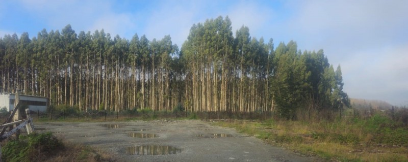 3175 Mts Urbano, Sector Arica