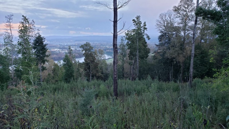 5800 M2 en Altos de Quitacalzon, Vista Directa Al Rio