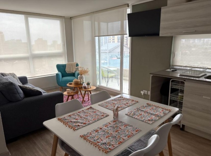Hermoso Departamento en el Centro de Viña
