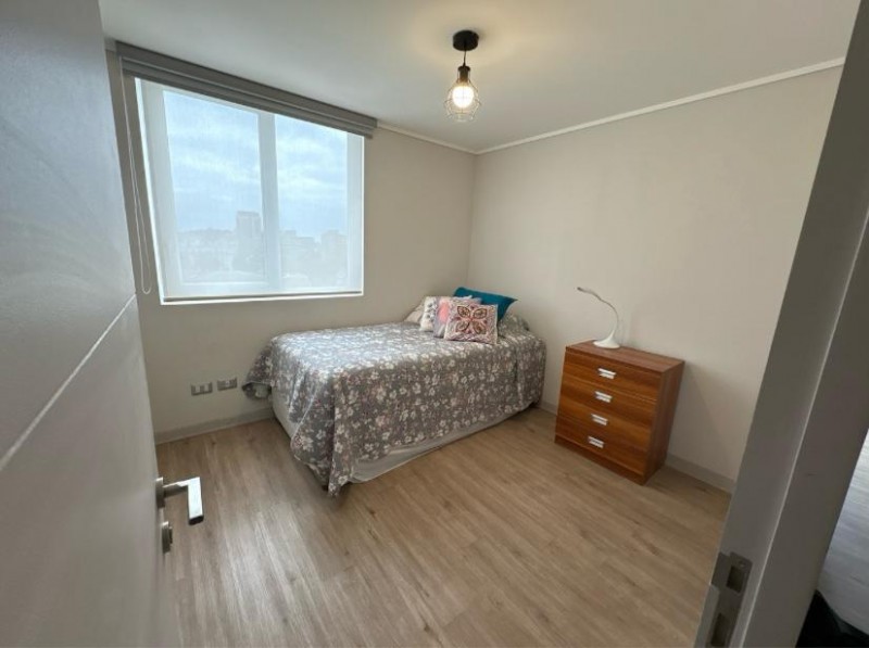Hermoso Departamento en el Centro de Viña