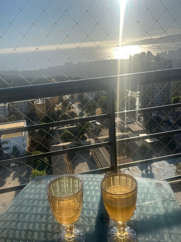 Acogedor Departamento Amoblado en Gómez Carreño