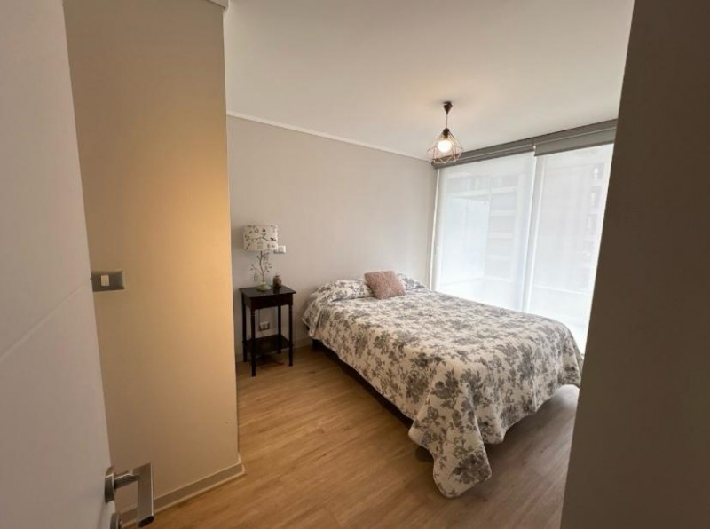 Hermoso Departamento en el Centro de Viña