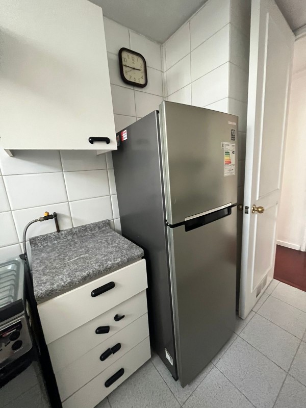 Acogedor Departamento en Santiago Centro