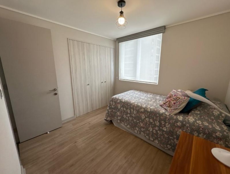 Hermoso Departamento en el Centro de Viña