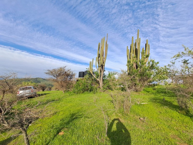 Vendo Hermosa Parcela 5.000Mt2 Cajon del Lebu Limache