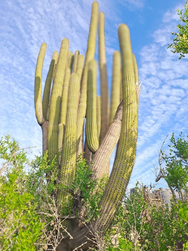 Vendo Hermosa Parcela 5.000Mt2 Cajon del Lebu Limache
