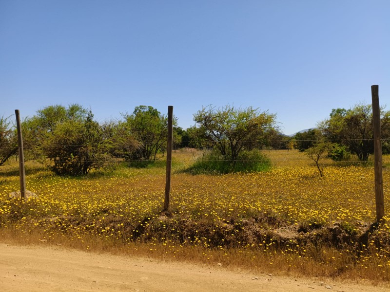 en Venta Parcela 5.100 Mts Camino A Vilches. Rol Propio