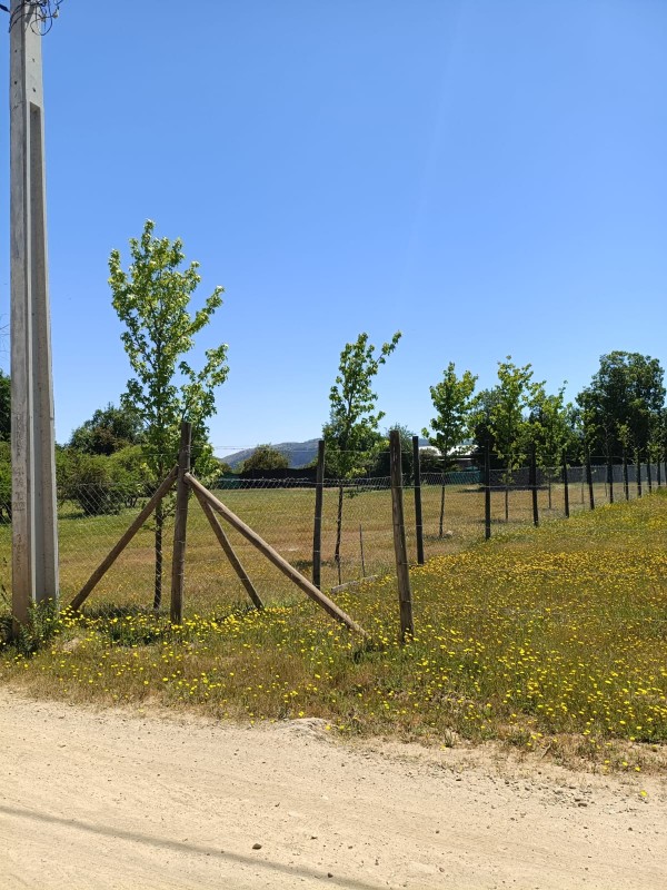 en Venta Parcela 5.100 Mts Camino A Vilches. Rol Propio