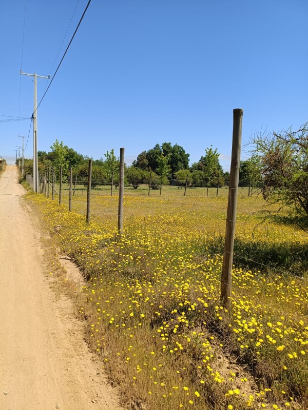 en Venta Parcela 5.100 Mts Camino A Vilches. Rol Propio