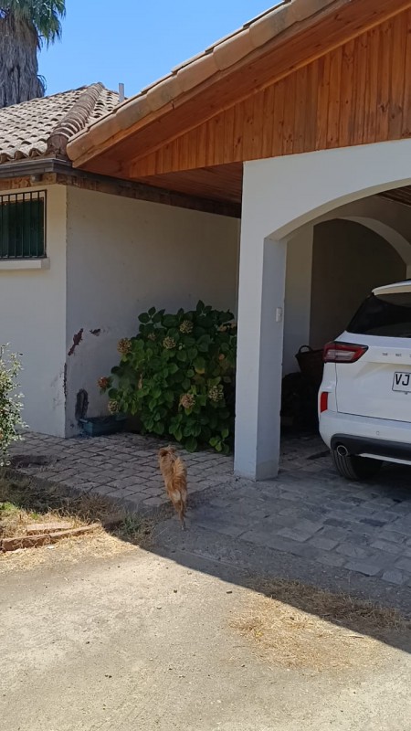 Exclusiva Casa en Entorno Rural – Santa Cruz
