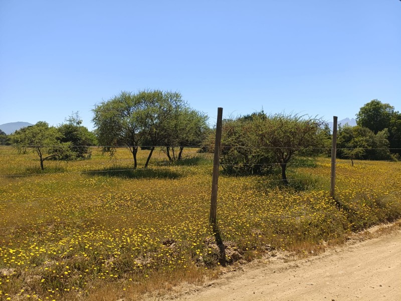 en Venta Parcela 5.100 Mts Camino A Vilches. Rol Propio