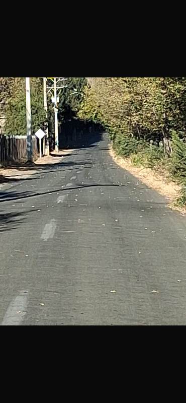 Parcela de 1 Hectárea en Rinconada de Silva, Putaendo