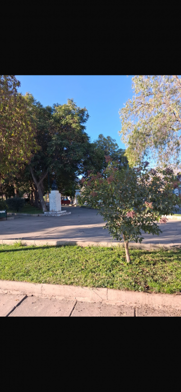 Parcela de 1 Hectárea en Rinconada de Silva, Putaendo