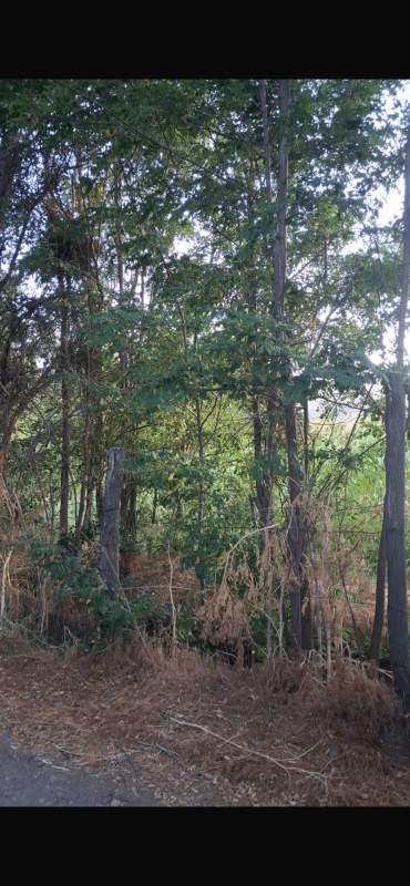 Parcela de 1 Hectárea en Rinconada de Silva, Putaendo