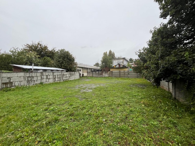 en el Centro de Osorno