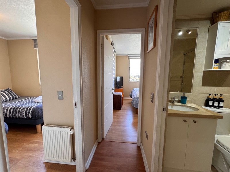Calidad Superior | Vista Despejada | Biotren|