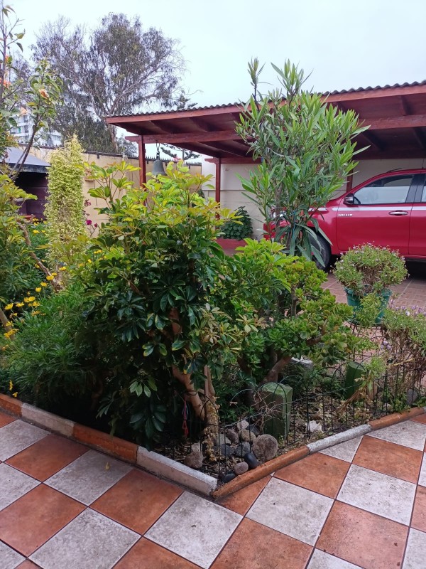 Casa un Piso, 3Dor/2Bañ, Terr 260 M2/100 M2,