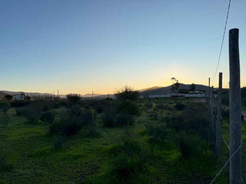 Parcela 5.000 M2, Rol Factibilidad Luz, Tambillos, Coquimbo
