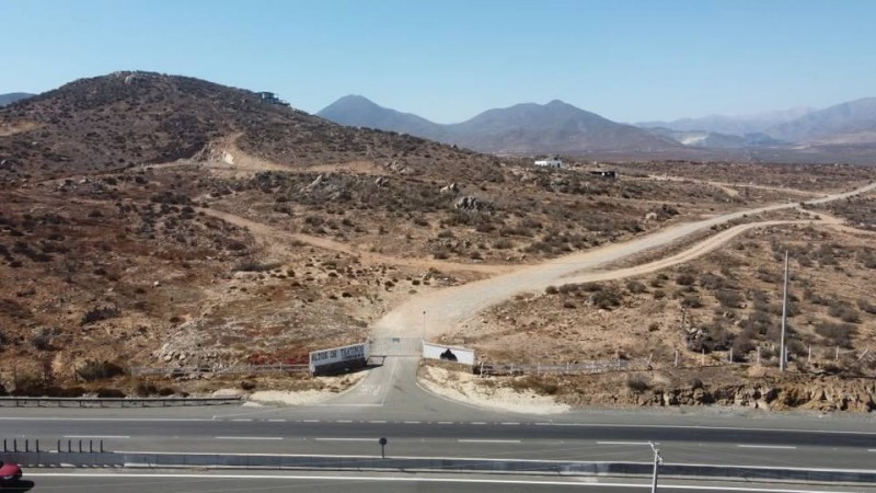 Parcela 5.000 M2, Rol, C. Porotitos, la Serena