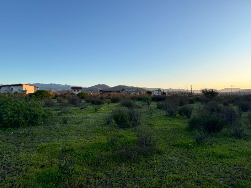 Parcela 5.000 M2, Rol Factibilidad Luz, Tambillos, Coquimbo