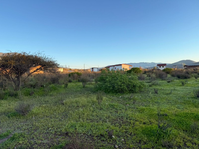 Parcela 5.000 M2, Rol Factibilidad Luz, Tambillos, Coquimbo