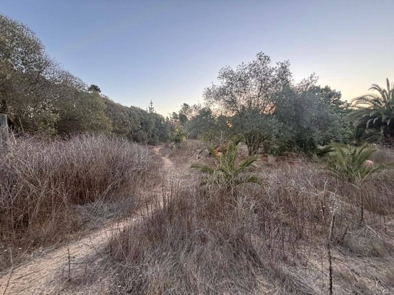 Fyc Vende Terreno en Sector los Pinos, Concón