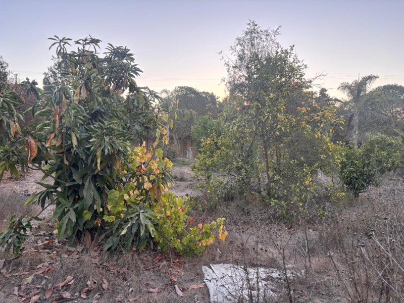 Fyc Vende Terreno en Sector los Pinos, Concón
