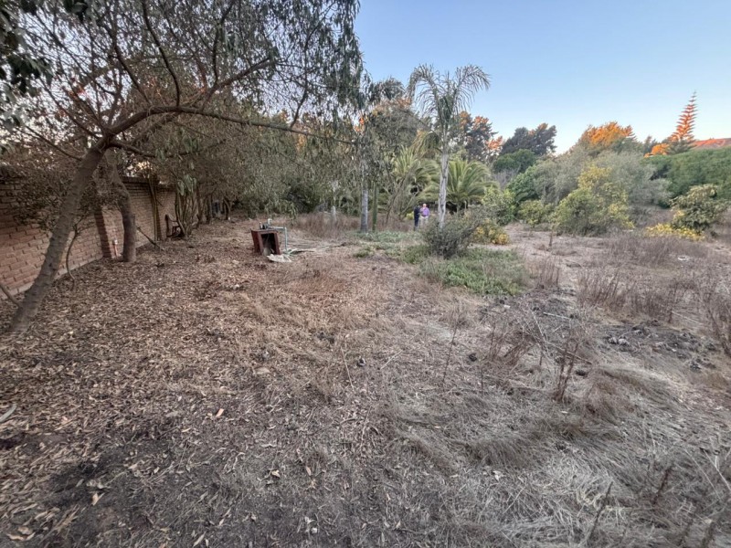 Fyc Vende Terreno en Sector los Pinos, Concón