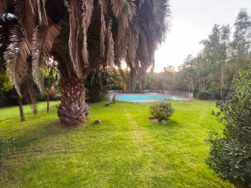Fyc Vende Amplia Propiedad, Sector los Pinos, Concón