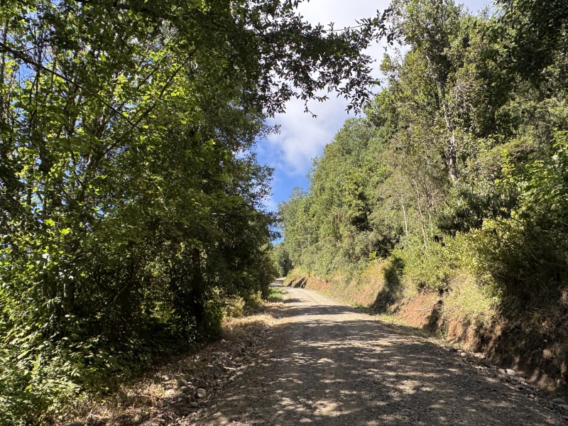 14 Km de Villarrica Vista Lago y Volcán Condominio Pedregoso