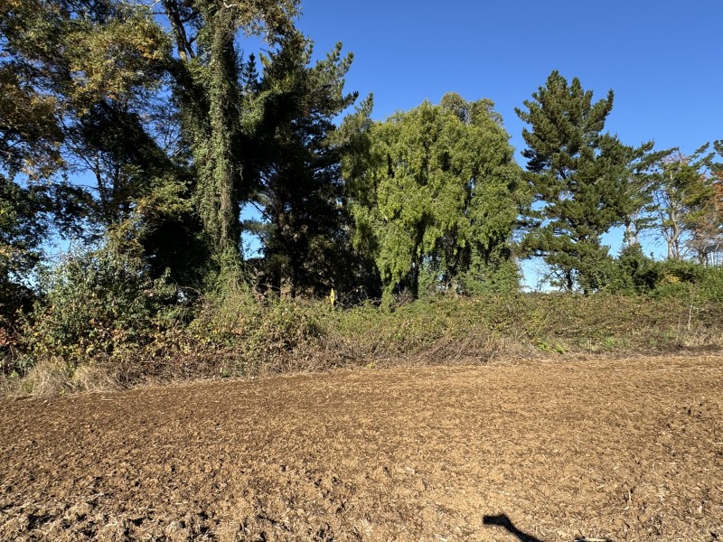 61 Hectáreas 25 Km. de Temuco Sector Huichahue San Ramón