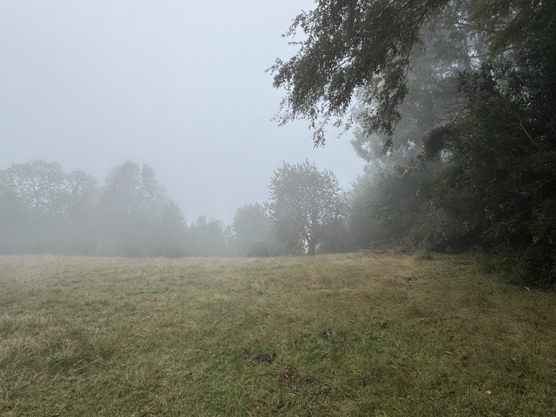 Campo de 23,7 Hectáreas Loncoche, Sector la Paz